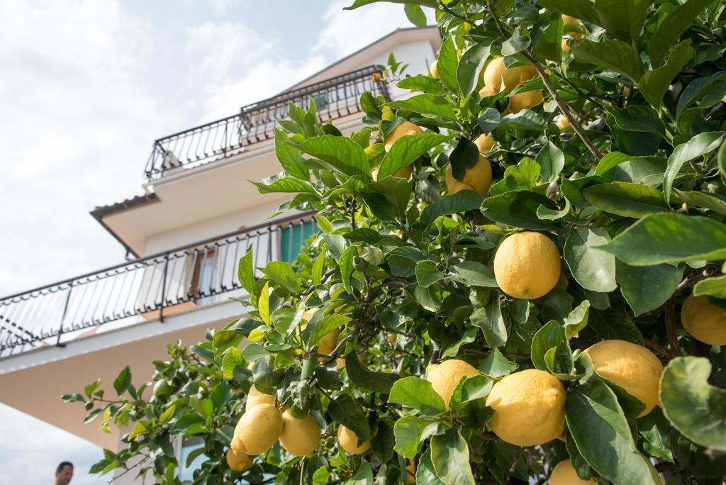 Residence Oleandro Pietra Ligure Exterior photo